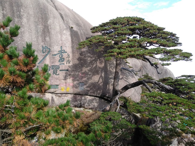 日登黃山，夜醉溫泉！